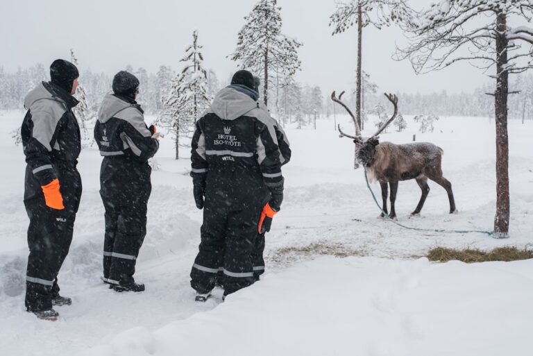 Top Ten Outdoor Adventures You Can Experience in Finland