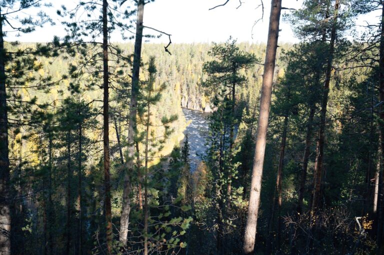 Discover the Best Hiking Trails in the Heart of Finland