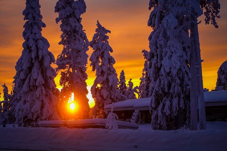 Embrace the Great Outdoors with Finland’s Scenic Road Trips